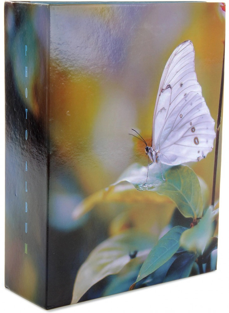 Фотоальбом «Golden bug 2» | Pioneer