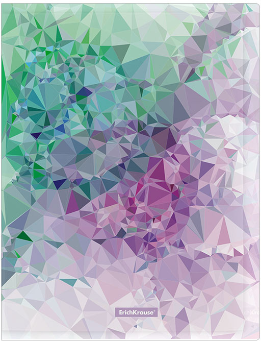 Папка с 30 прозрачными вкладышами А4 | Violet Dynamique | Erich Krause