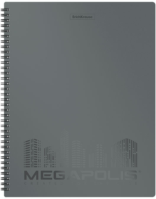 Папка с 20 прозрачными вкладышами А4 | Megapolis | Erich Krause