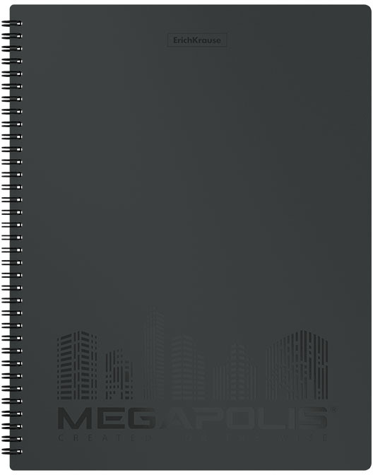 Папка с 20 прозрачными вкладышами А4 | Megapolis | Erich Krause