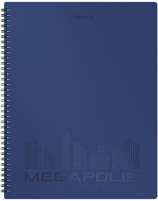 Папка с 40 прозрачными вкладышами А4 | Megapolis | Erich Krause