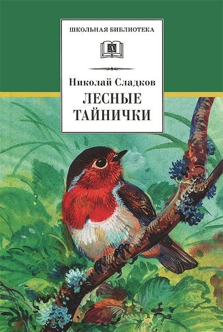 Лесные тайнички | Школьная библиотека