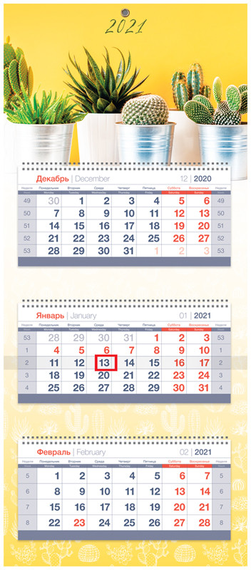 Календарь настенный «Солнечный кактус» | Mini premium | OfficeSpace