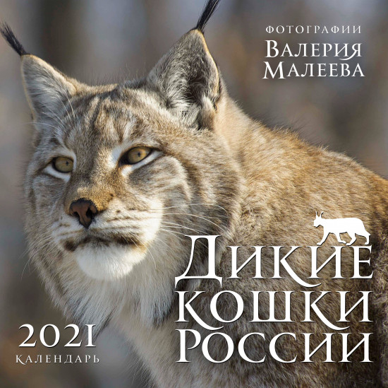 Календарь настенный «Дикие кошки России»