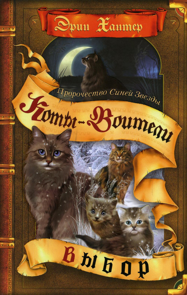 Коты-воители. Пророчество Синей Звезды. Книга 2. Выбор | Коты-воители