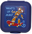 Сэндвич-бокс