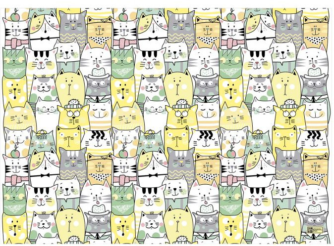 Пленка для уроков труда | Феникс +