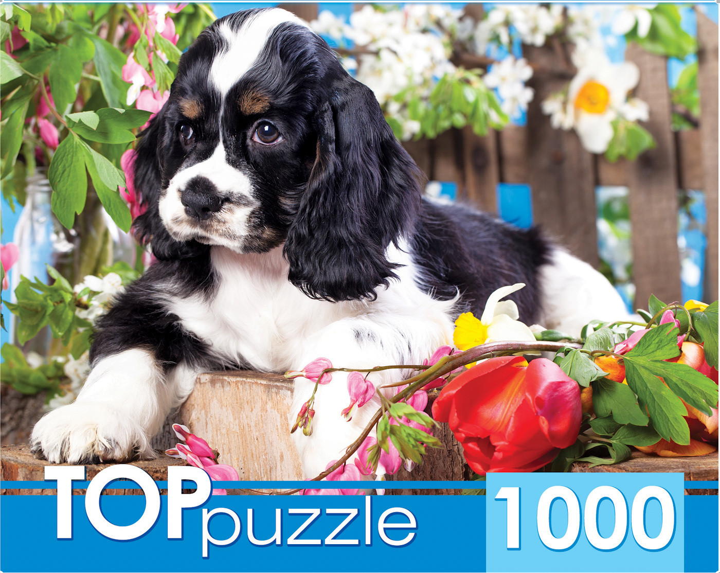 Пазл «Щенок спаниеля в саду» | TOPpuzzle-1000 | Рыжий кот