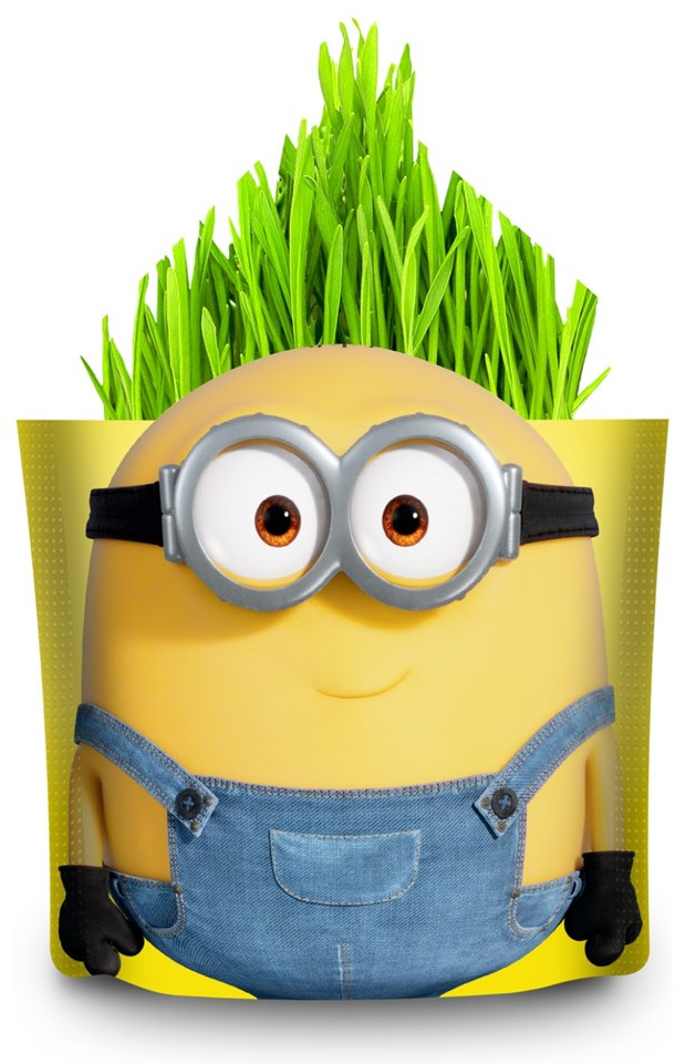 Набор для выращивания «Отто» | Миньоны | Вырасти меня!
