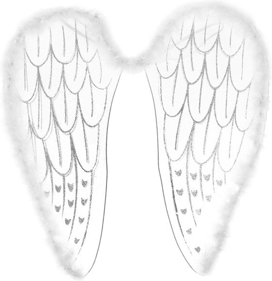 Крылья «Ангел»