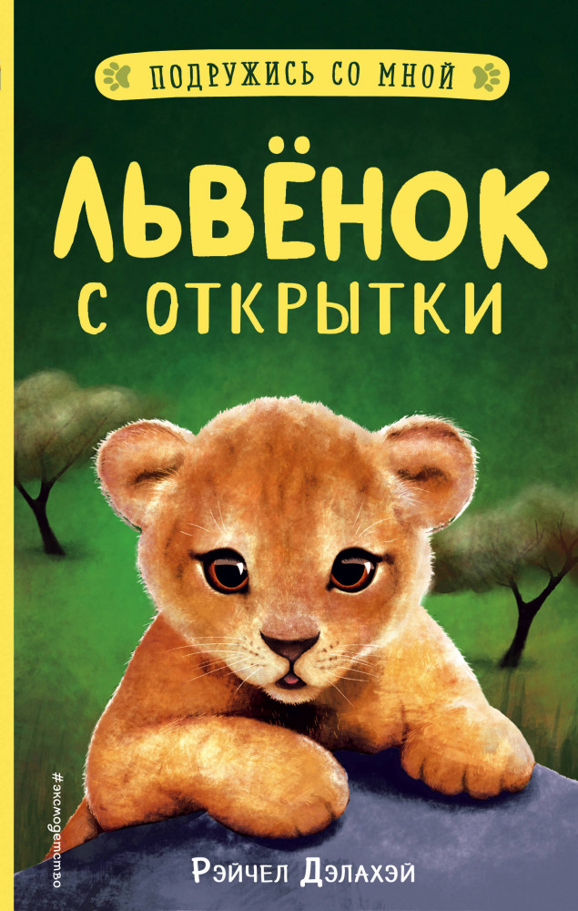 Львёнок с открытки | Подружись со мной! Истории о животных