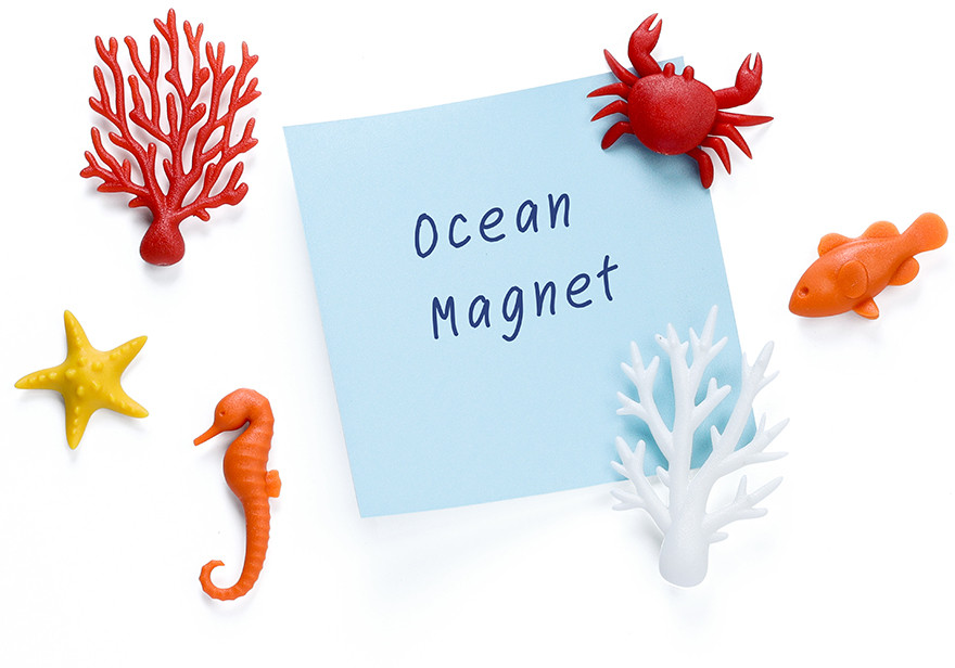 Набор магнитов для холодильника «Ocean» | Coral | Qualy