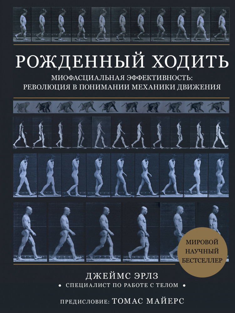 Рождённый ходить. Миофасциальная эффективность. Революция в понимании механики движения | Анатомические поезда