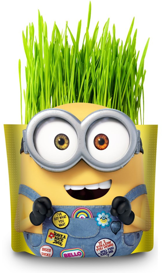 Набор для выращивания «Боб» | Миньоны | Вырасти меня!