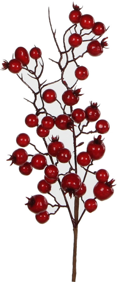 Ветка из ягод | House of Seasons