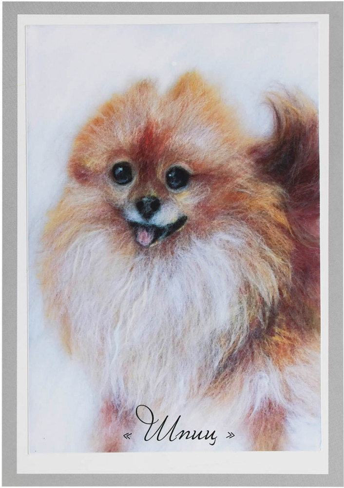 Набор для валяния «Шпиц» | Айрис