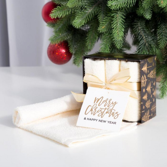 Набор полотенец «Merry Christmas»