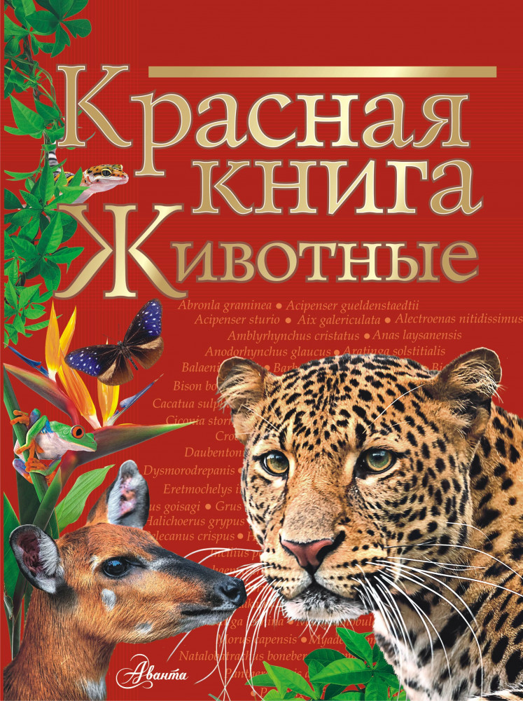 Красная книга. Животные | Красная книга нашей планеты
