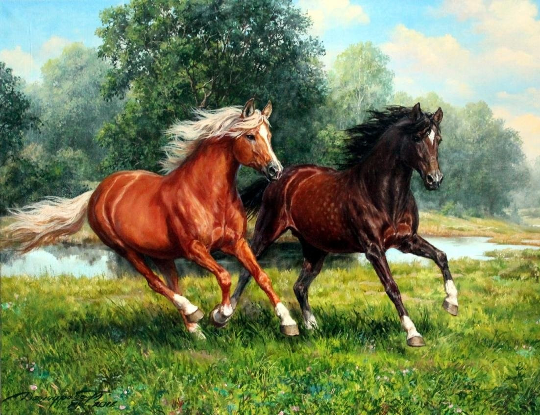 Картина по номерам «Лошадиный аллюр» | Paintboy