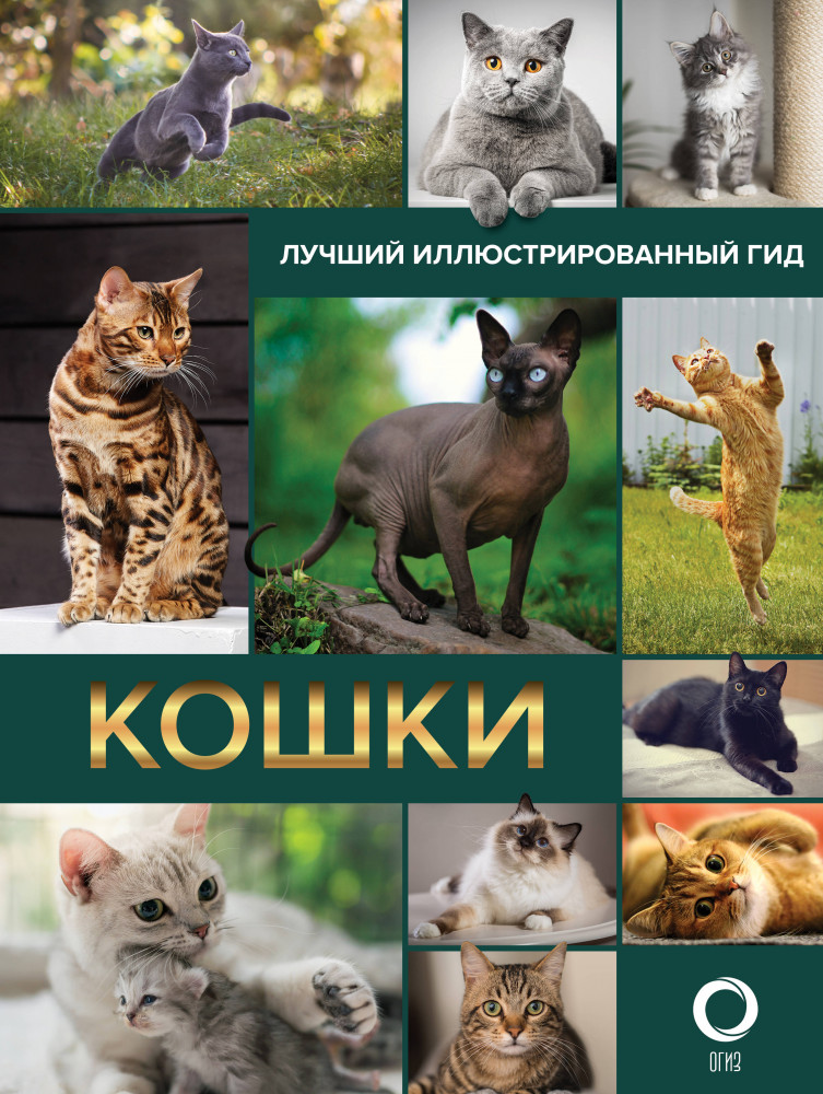 Кошки. Лучший иллюстрированный гид | Лучший иллюстрированный гид