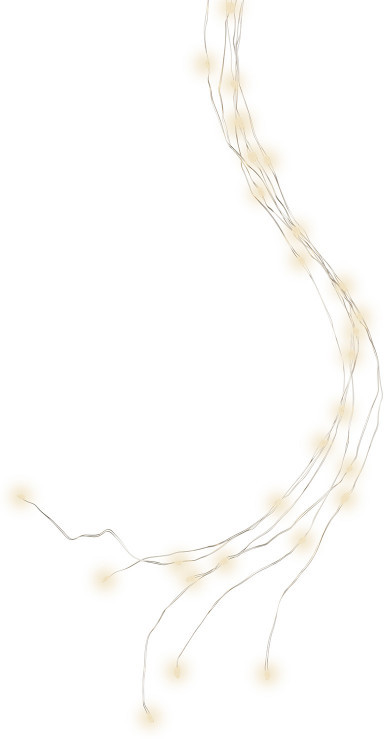 Гирлянда пучок светодиодная | Kaemingk B.V.