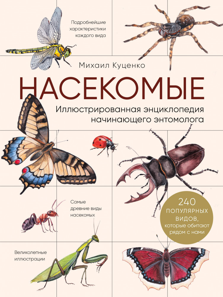 Насекомые. Иллюстрированная энциклопедия начинающего энтомолога. 240 популярных видов, которые обитают рядом с нами | Подарочные издания. Живая природа