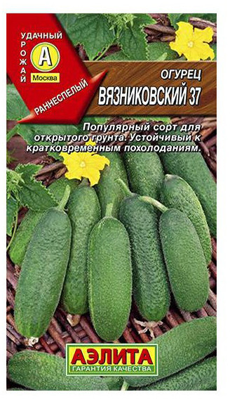 Огурец «Вязниковский 37» | Аэлита