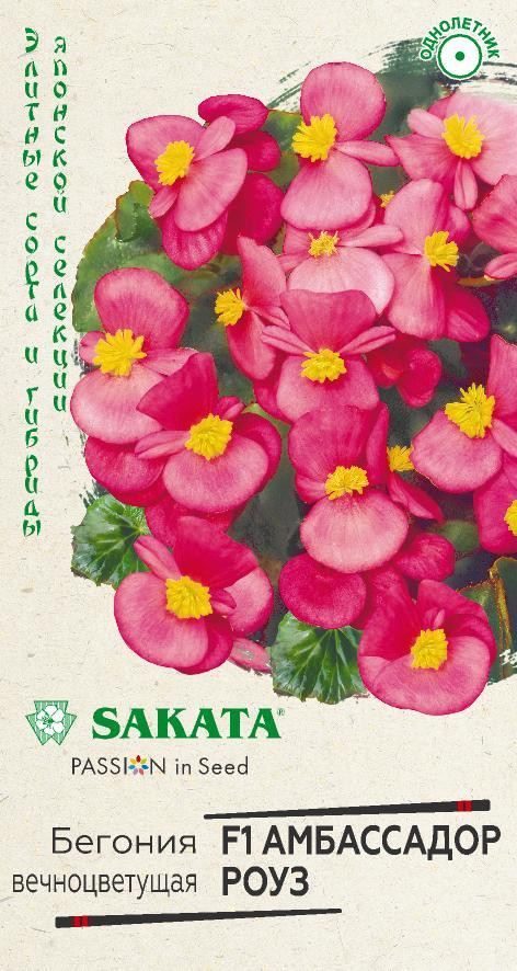 Бегония «Амбассадор роуз F1» | Sakata