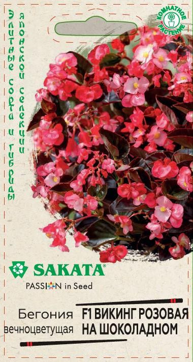 Бегония «Викинг розовая на шоколадном F1» | Sakata
