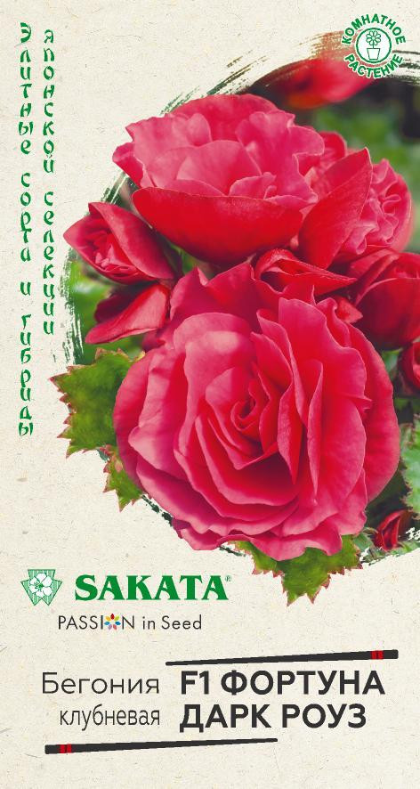Бегония «Фортуна дарк роуз F1» | Sakata