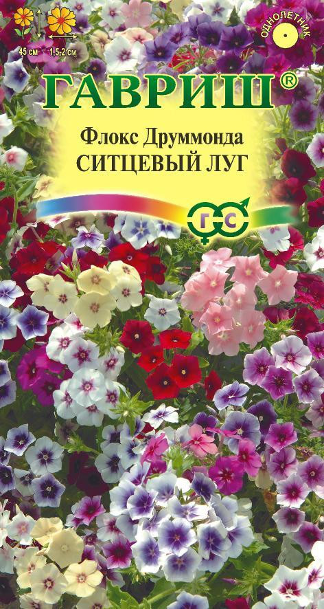 Флокс «Ситцевый луг» | Гавриш