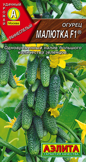 Огурец «Малютка F1» | Аэлита