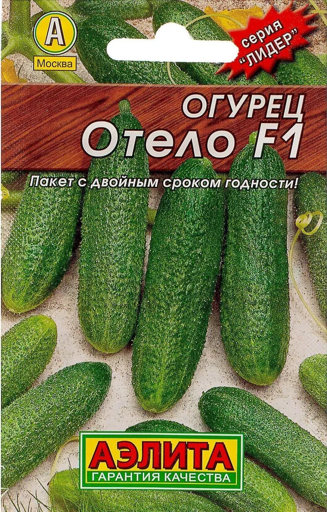 Огурец «Отело F1» | Аэлита