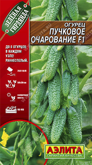 Семена огурца «Пучковое очарование F1»