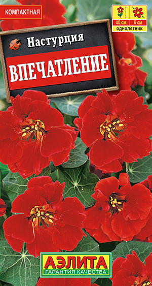 Настурция «Впечатление» | Однолетние цветы (Аэлита) | Аэлита
