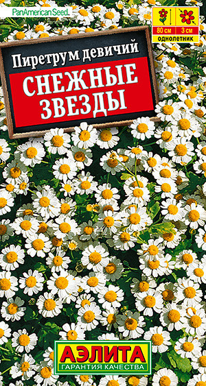Пиретрум «Снежные звезды» | Однолетние цветы (Аэлита) | Аэлита