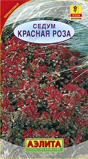 Седум «Красная роза» | Многолетние цветы (Аэлита) | Аэлита