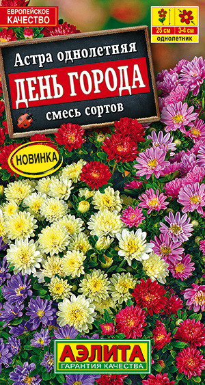 Астра «День города» | Однолетние цветы (Аэлита) | Аэлита
