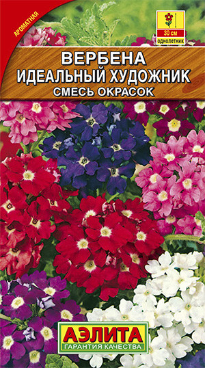 Вербена «Идеальный художник» | Однолетние цветы (Аэлита) | Аэлита
