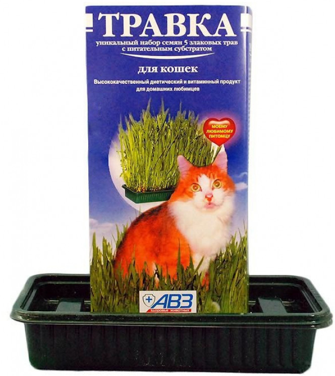 Трава для кошек с питательным субстратом | Агроветзащита