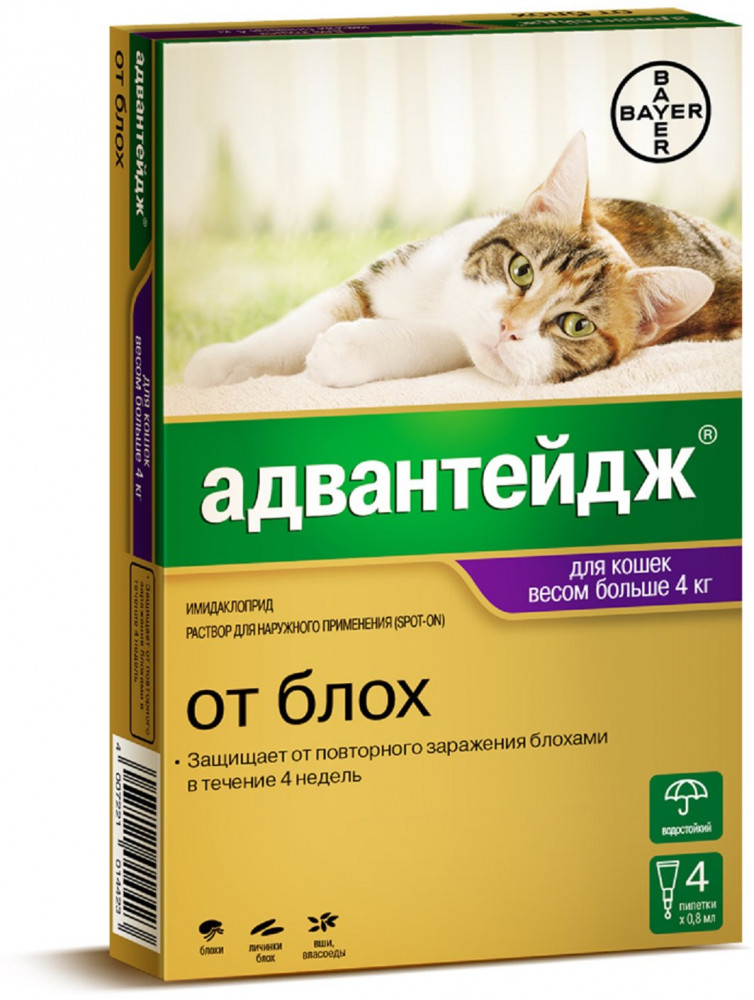 Капли от блох для кошек «Адвантейдж» | Bayer Animal Health GmbH