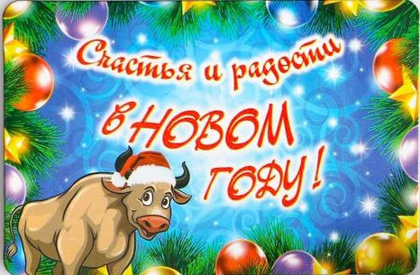 Магнит «Счастья и радости в Новом году!»