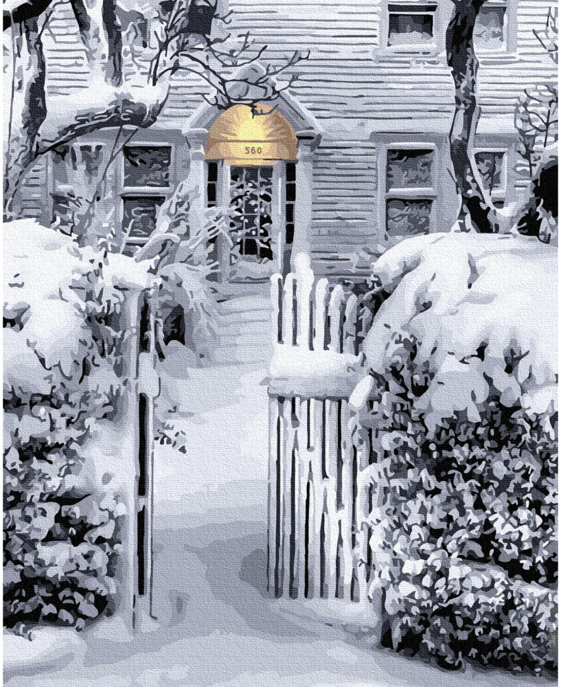 Картина по номерам «Белый снег украсил город» | Molly