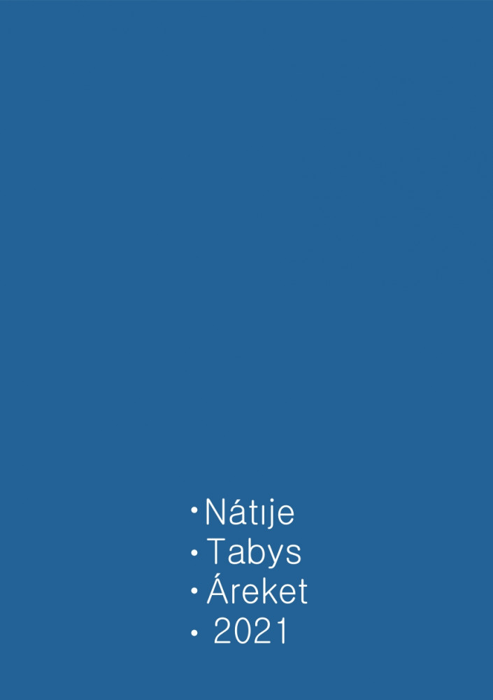 Ежедневник «Natizhe. Tabys. Areket. 2021» | Динара Сатжан