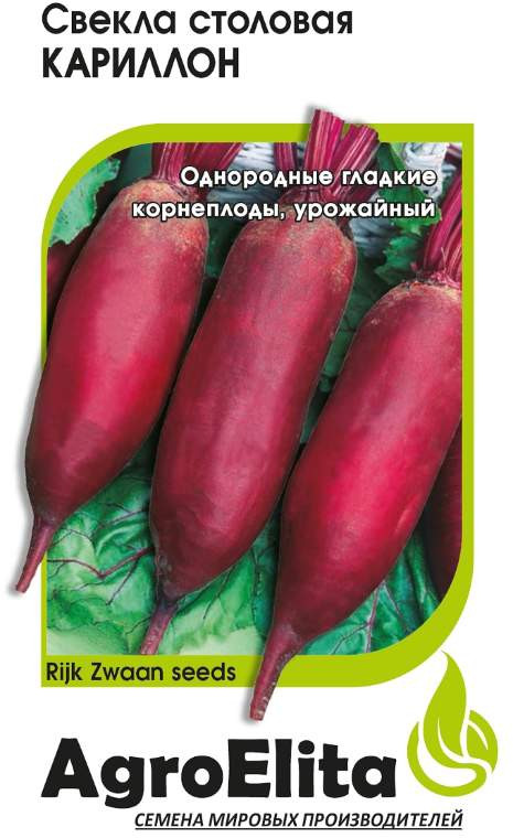 Свекла столовая «Кариллон» | Гавриш