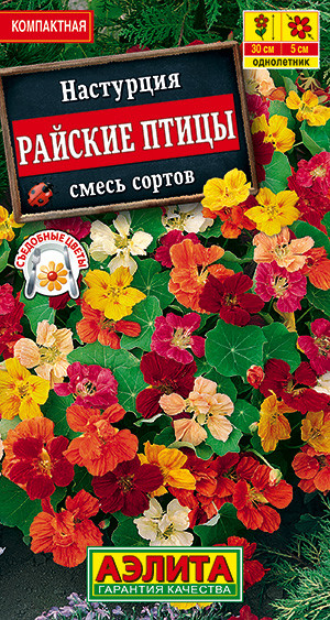 Настурция «Райские птицы» | Съедобные цветы | Аэлита