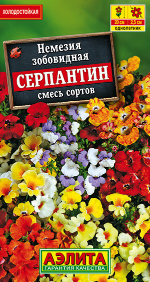 Немезия «Серпантин» | Аэлита