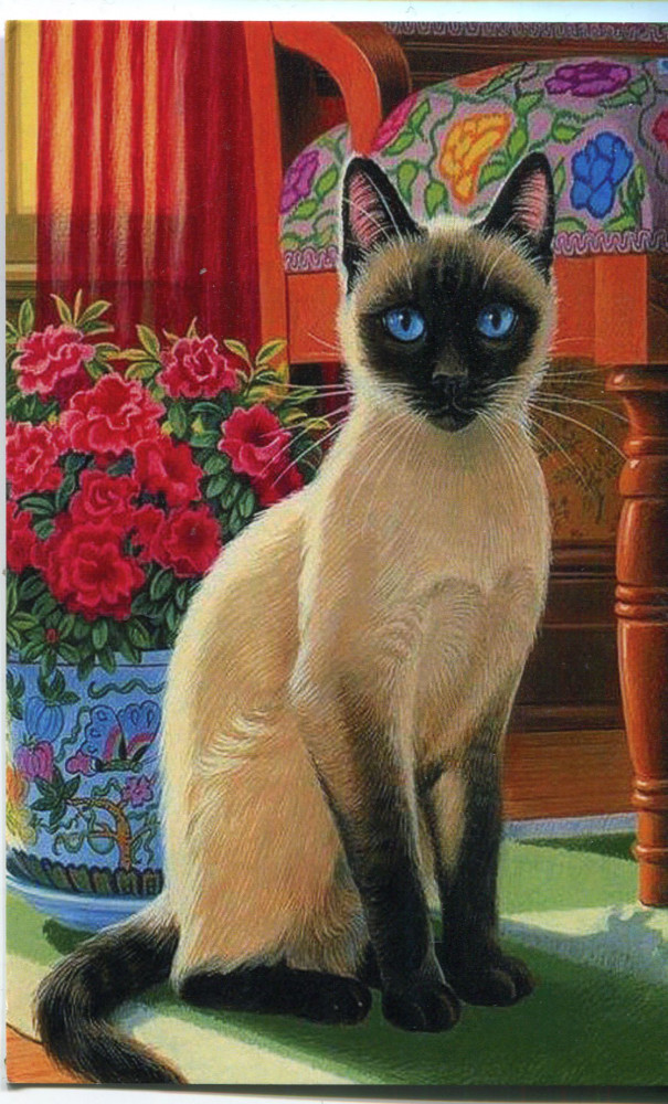 Картина по номерам «Благородная сиамская кошка» | Paintboy