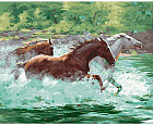 Картина по номерам «Скакуны в реке»