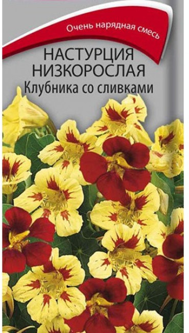 Настурция «Клубника со сливками» | Поиск